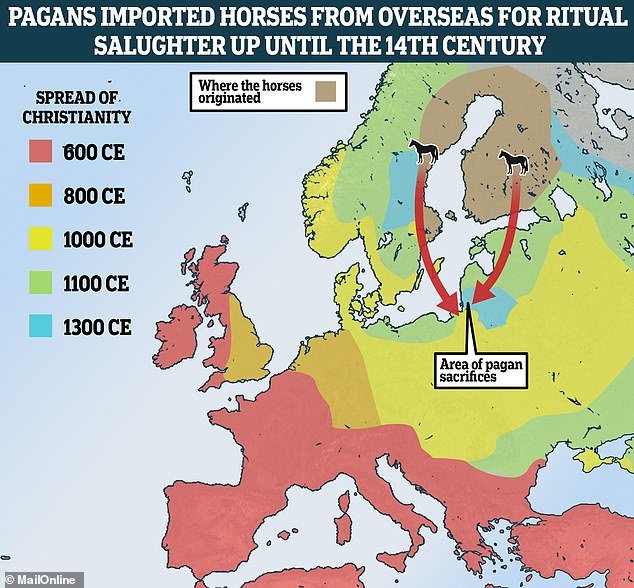 Horses were imported from Sweden and Finland to eastern Europe - modern-day Poland and Lithuania - by pagans for the sole purpose of being sacrificed between the 1st to the 13th centuries AD