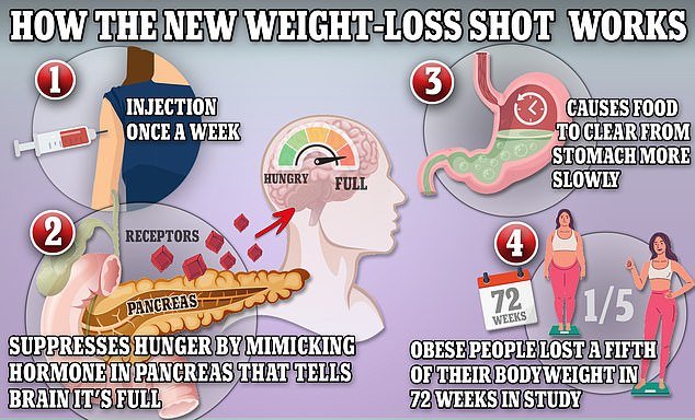 Wegovy and Ozempic work by triggering the body to produce a hormone called GLP-1 that is released naturally from the intestines after meals
