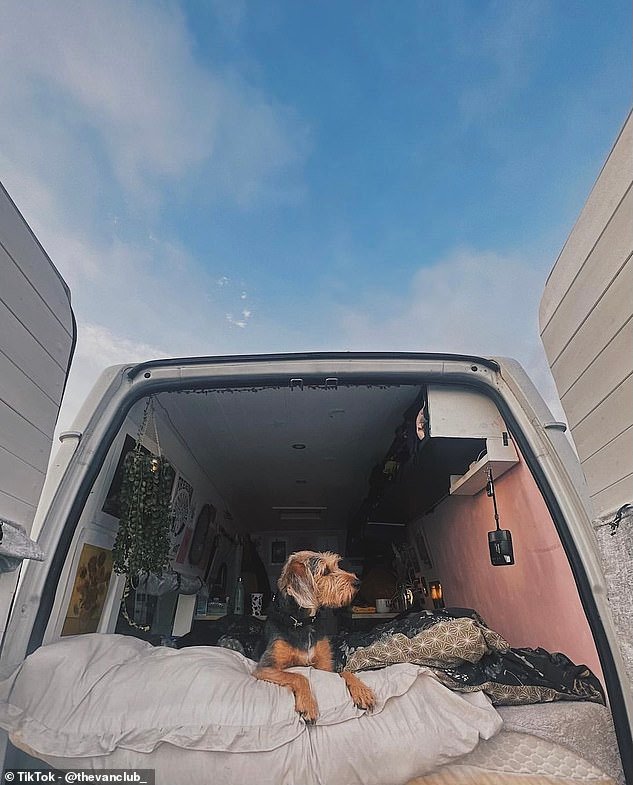 ¿I just thought, "Why not just do it now," I was desperate to get my independence back,' she said (pictured: beagle-cross McCartney)