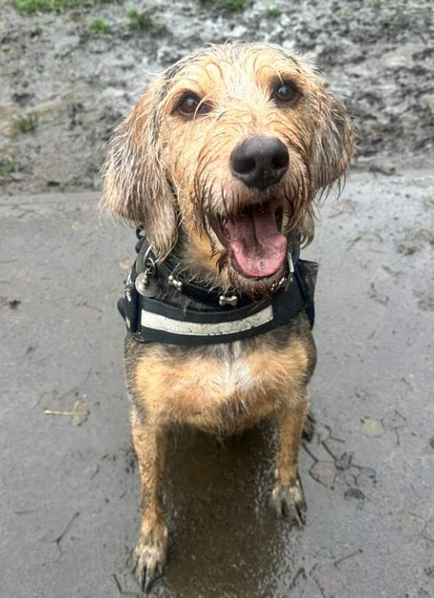 McCartney, who attends day care whilst Nicole is at work, loves coming home to the van