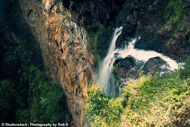 The 36-year-old fell to her death at Mapleton Falls (pictured) on Queensland's Sunshine Coast