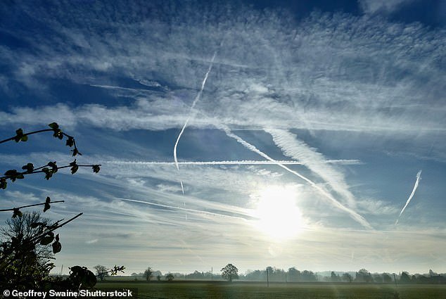 Chemtrails allegedly carry multiple chemicals which are released by airplanes, including barium salts, aluminum oxide, strontium, and mercury