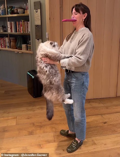 Jennifer Garner sparked a mixed response online after sharing a video of herself taking part in the cat spinning trend