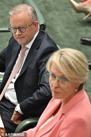 The left's own Tanya Plibersek (right) is set to cop another demotion after Albo (left) dumped her from her beloved education portfolio to environment after the 2022 election win