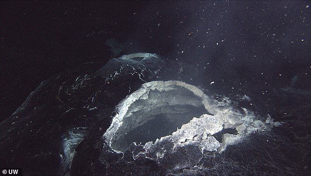 Scientists monitoring this volcano have detected a key sign that it is about to erupt: inflation of the seafloor. Pictured is the opening of the volcano