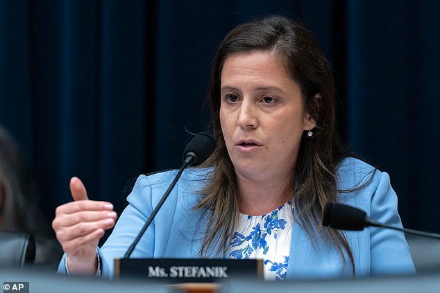 Rep. Elise Stefanik, R-NY., speaks during the House Committee on Education and Workforce hearing