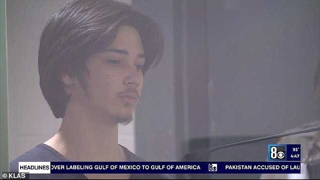 In court this week, Fletcher (pictured) was handed a $4 million bail as the shocking allegations were heard by a judge