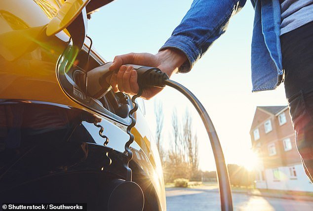 Under existing plans, the Government wants to ensure 22 per cent of manufacturers' new car sales are zero emission vehicles (ZEVs) in 2024, rising each year to 80 per cent in 2030