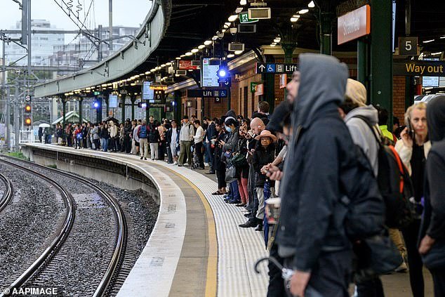 On Monday, travel was free on all Sydney trains, Airport Link and Metro services on the Opal network