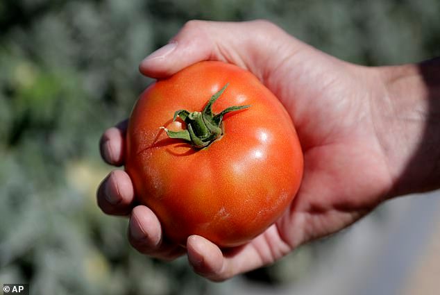 The Government estimates that the UK economy benefits from crops and nature more generally to the tune of £15.7billion a year – but the risks from pests and pathogens cost more than £4billion annually