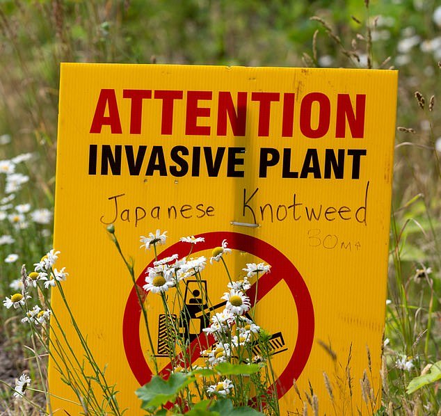 The Government has announced a five-year strategy to protect Britain’s native species and food security