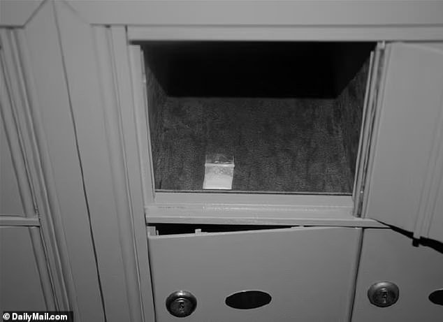 Patel's FBI recently announced that it was re-opening several investigations that had previously gone unresolved, including the discovery of cocaine in Biden's White House in 2023 (pictured)