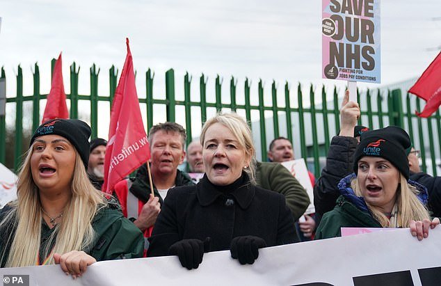 Sharon Graham, Unite the Union General Secretary: The pugilistic first female leader of Unite swept to power last year with the backing of the Socialist Workers Party on a manifesto for the union to be 'open to working at the edges of the law if necessary'. She is pictured on the picket line in Coventry
