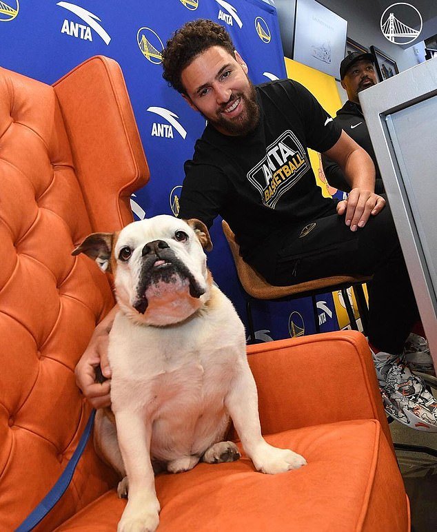The English bulldog has been by Thompson's side throughout his entire NBA career