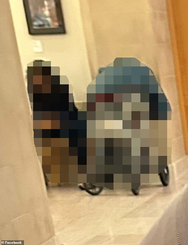 Pictured: A photo shared to the Facebook group of what the witness claims is a nanny on her phone