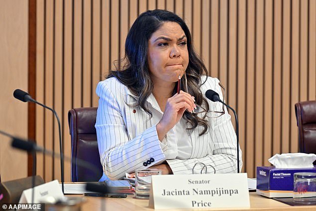 Jacinta Nampijinpa Price (pictured) has announced her candidacy for deputy leader of the Liberal Party