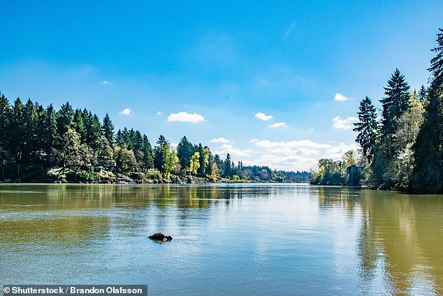 Multnomah County authorities announced they had recovered at total of eight bodies from the Willamette (pictured) and Columbia Rivers since April 1