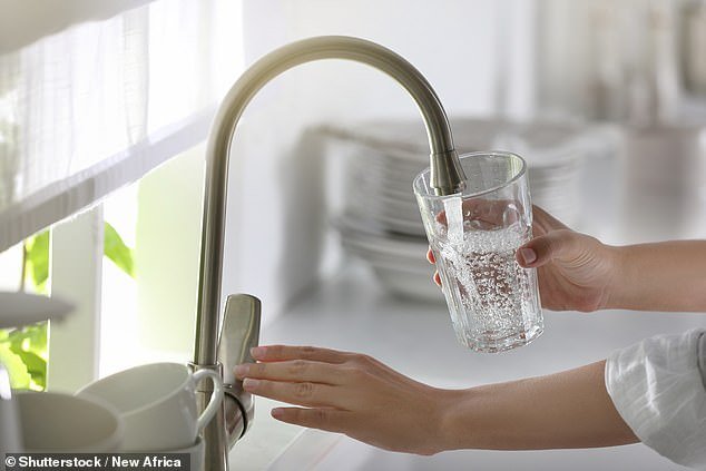 Florida has banned fluoride from its tap water, with the law set to go into effect on July 1 (stock)