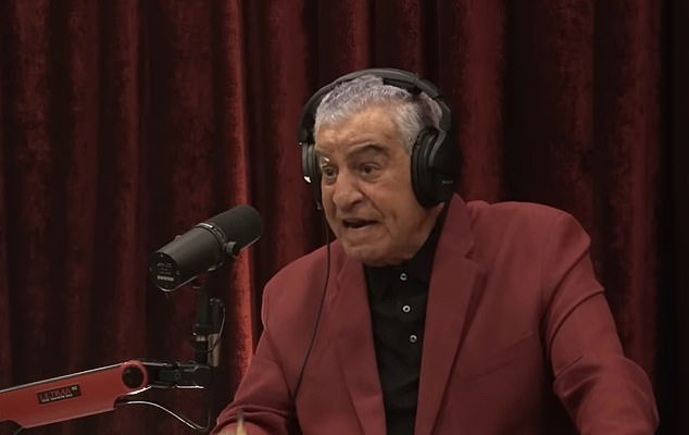 Dr Hawass deemed the discovery 'bulls***,' saying there are no structures hidden beneath the Giza pyramids