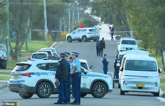 The home on Frank Street in Mount Druitt was targeted about 1.20am on Friday