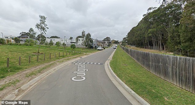 Emergency services rushed to a home on Culgoa Bend in Villawood (pictured) following reports a child had been hit by a 4WD on the driveway of the property