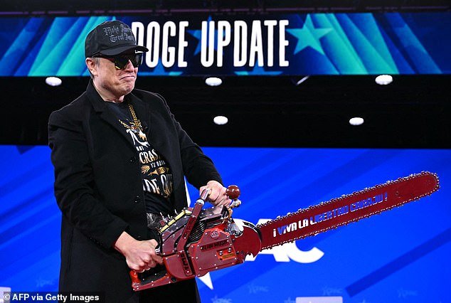 Musk led the charge to slash federal bureaucracy with DOGE's chainsaw-wielding fervor