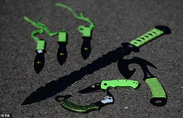 The government hopes the new legislation will tighten the loophole on 'menacing' zombie knives in a bid to get such weapons of the streets (Pictured: some examples of different zombie knives, varying in length from a long blade to shorter styles)