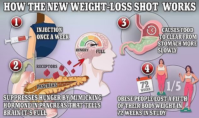 Both Wegovy and Mounjaro work by regulating patients' appetite, resulting in people feeling full quicker, but Mounjaro is said to have an additional effect as it appears to change the body's metabolism