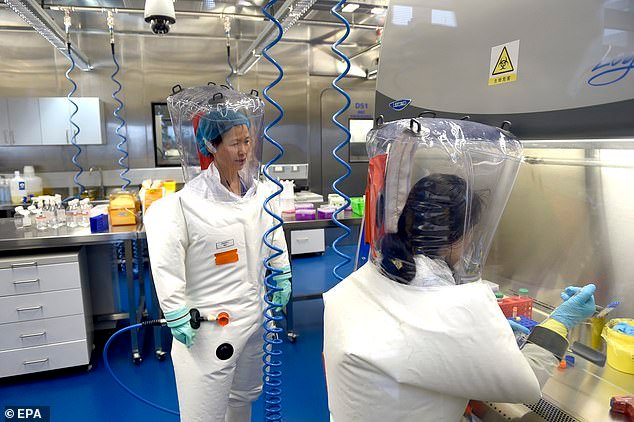 Chinese researcher Shi Zhengli, known as 'bat woman' for her work on coronaviruses in bats, is pictured in her lab at the Wuhan Institute of Virology in 2019