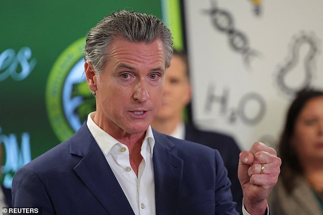 California Governor Gavin Newsom complained about the Trump adminstration's efforts to quell rioting in the city of Los Angeles