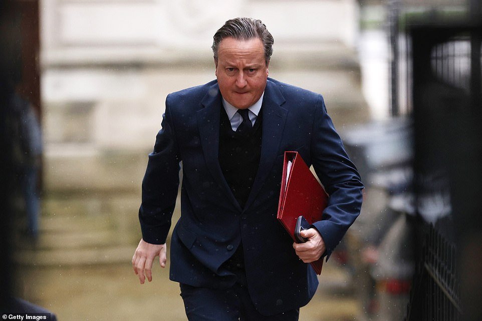 Lord Cameron and Stéphane Séjourné, his French counterpart, said: 'We are both absolutely clear ¿ Ukraine must win this war.' They warned: 'If Ukraine lose, we all lose.'
