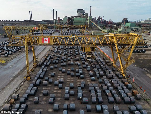 Canada is also hugely impacted by Trump's 50 percent tax on steel and aluminum imports. Canada's steel industry has laid off a staggering 1,000 workers since the first US tariffs in March (Pictured: Steel coils sit at a steel mill yard in Hamilton, Canada)